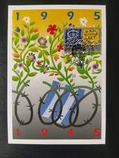 Carte Premier Jour Timbre Europa Liberté N° 2941 Oblitéré Strasbourg 1995