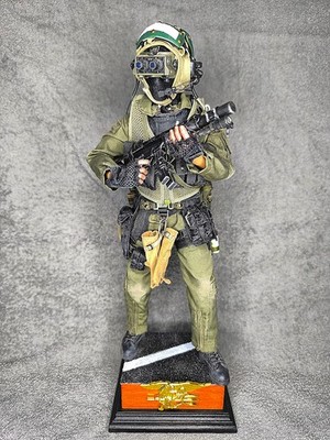 1/6 Figur Custom Hot Toys Damtoys Navy Seal VBSS Commander wie Dragon DiD