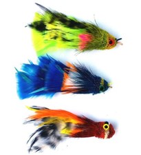 Cat Toy Wand Refill Parrot KatFly  Teaser