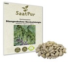 Stangenbohne Neckarkönigin Samen Saatgut Saat Gartenbohnen Grüne Bohnen fadenlos