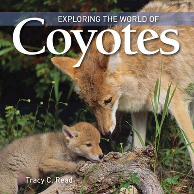 Exploring the World of Coyotes by Tracy C. Read (English) Hardcover Book