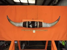 MOUNTED STEER BULL  HORNS 4'8" tip to tip #390 BULL HORN LONGHORN 21 1/2" Base