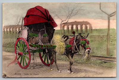 Postcard Roma Sulla Via Appia Rome Italy A1