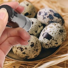 Egg Tester Light Canister Candler for Chicken Eggs Candling Inspection