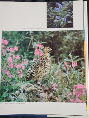 Birds and Flowers of the Fifty States A Collection of US