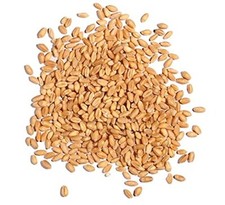 Wheat Berries - 5 Pounds - Farm Fresh Hard Red Winter Wheat Berries - Made in US