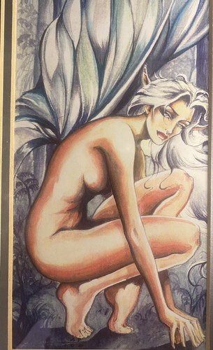 Forest Fairy Ruth Thomas Artist Proof Of 100 Signed Picture Framed, Retired,