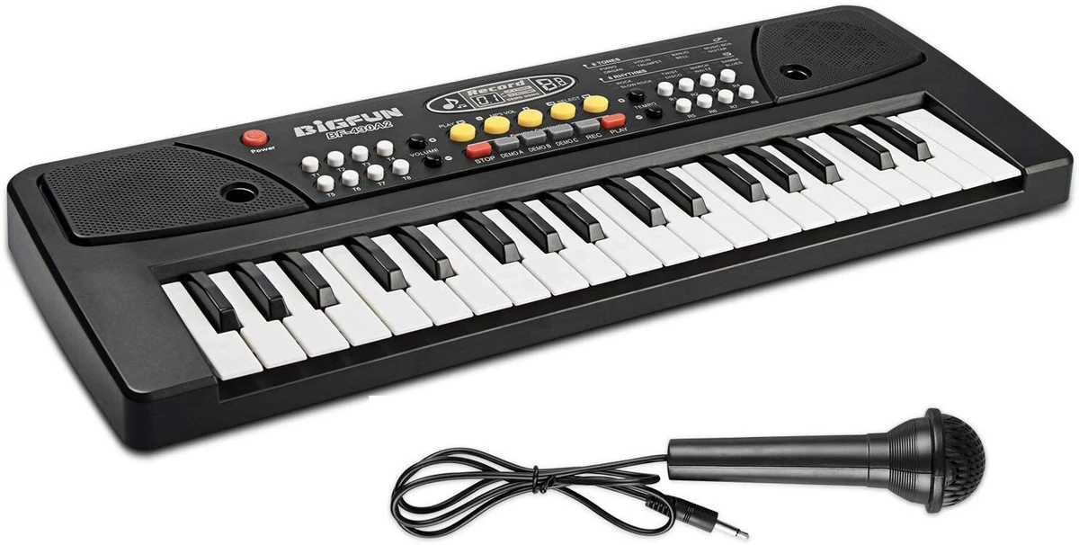 Ebay musical instruments sale keyboards