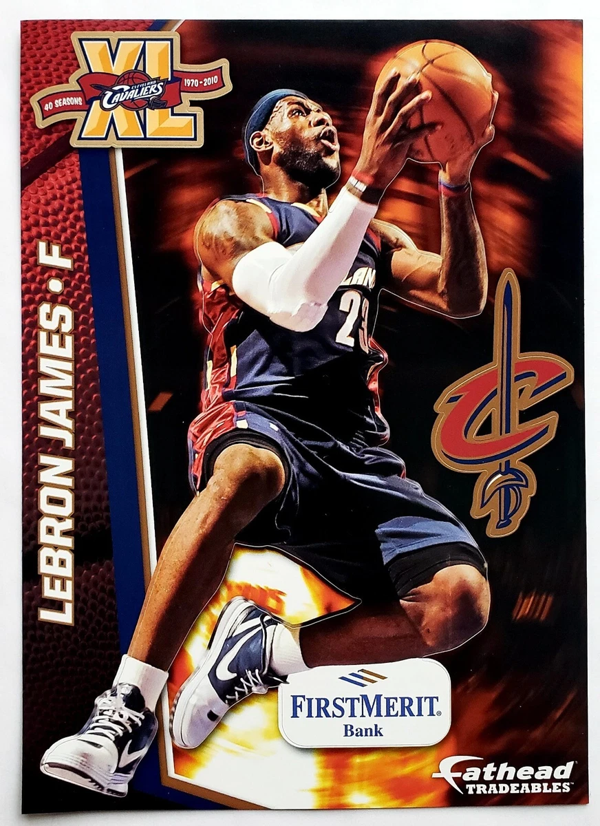Lebron fathead hotsell