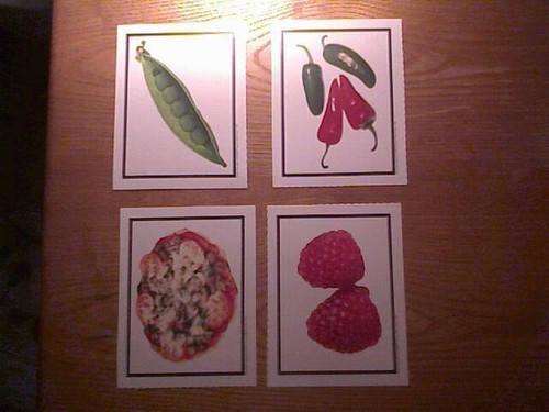 Food/Household items cards for identification for ELL/Special Education students