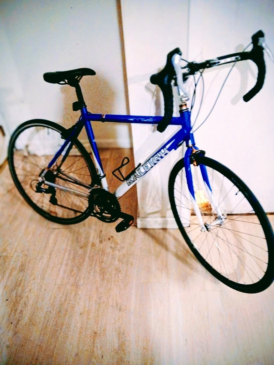 Cadre Raleigh Technium CHILL 18,5 – VTT 26 Pouces, Vintage Bleu, Cadre + Fourche