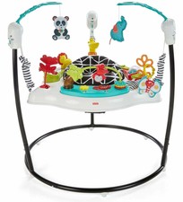 fisher price bouncer activity center