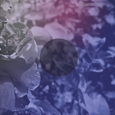 See Through Dresses See Through Dresses CANDY GRAPE PURPLE VINYL Vinyl