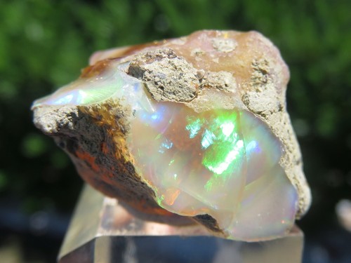 Opale Blanche Multicolore D'Éthiopie - Pierre Naturelle Non Traitée - 2,95 Carats - Ovale - Rare !