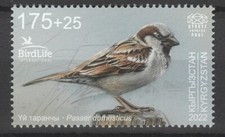 Kyrgyzstan 2022 Birds, Sparrow MNH stamp