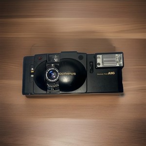 Olympus A16 Flash | eBay