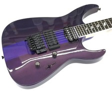 CAPARISON Dellinger Prominence(2019) Electric Guitar