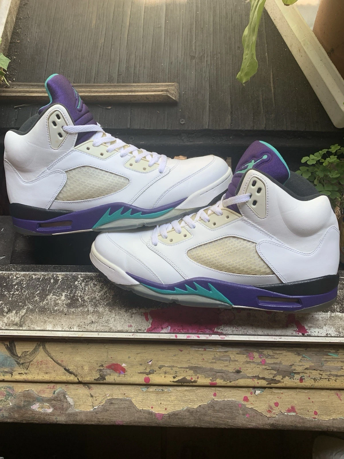 Taglia 13 Air Jordan 5 Grape 2013 Usatozione SPEDIZ