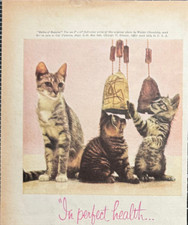 Puss 'n Boots Cat Food Kittens Playing Lifelong Nutrition Vintage Print Ad 1959