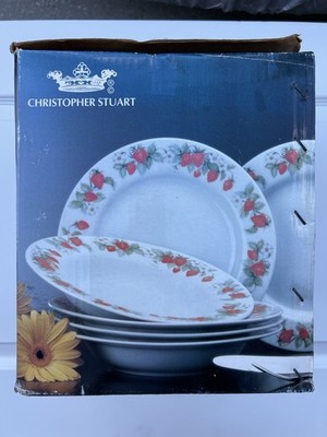 Christopher Stuart Berry Orchard Pattern Dinnerware 20 Pc. For Four. New