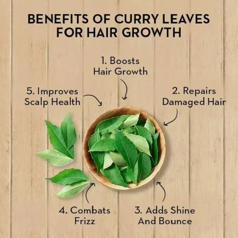 Dried Curry Leaves Powder (Murraya Koenicll) Leaf 100% Organic Ceylon Spices Tea - Image 4 of 4