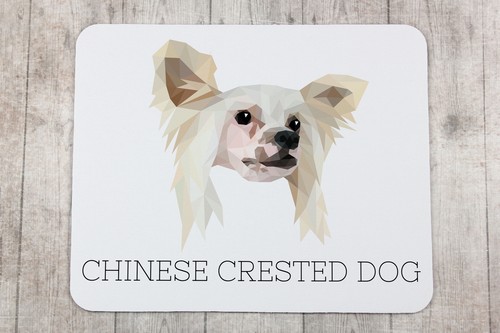 Chinese gans geometrische onderlegger Art-Dog - Afbeelding 3 van 4