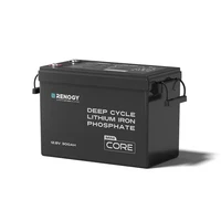 Renogy RBT12300LFPMG1US Core Mini LiFePO4 Deep Cycle Battery 12V 300Ah