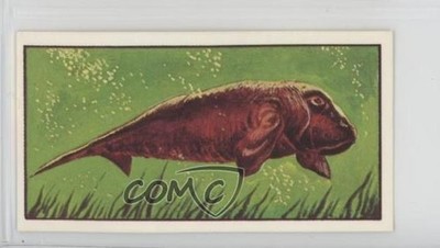 1979 Bassett Living Creatures of our World Sea Cow #22 0kb5