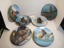 Set of 6 Knowles Collector Plates by Daniel Smith – Owl Series Bradex USA