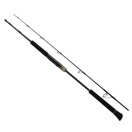 美品　DAIWA　ソルティガ　Saltiqa Expedition 50S-6 Daiwa 25 SALTIGA J Expedition 50S-6 Spinning Rod | eBay