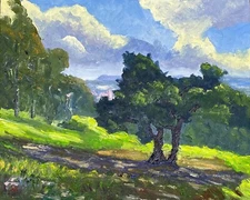 Gorgeous Oil painting on canvas ORIGINAL Park View Impressionist Painting Art