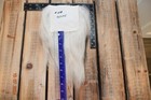 Bild 39 von 53
