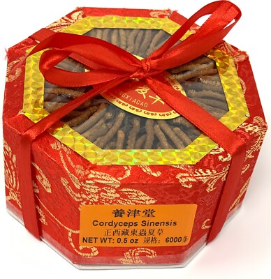 O?Kayo Nature Cordyceps Mycelium Capsule (Dong Chong Xia Cao) 400mg - Foto 7