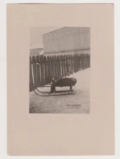 Kid's Winter Slumber Mysterious Nap on Sled in Snowy Streets of the Past Photo