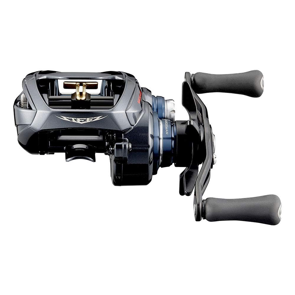 Daiwa 21 Steez A TW HLC 7.1L