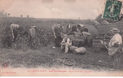 SEINE SAINT DENIS SAINT OUEN les Vendanges vignes de Mr Bon Compoint