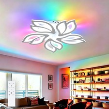 LED Ceiling Light Dimmable Flush Ceiling Light Remote Control RGB Color Changing