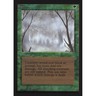 MTG \\>> Fog (Collectors' Edition) <<// English - 341 Trading - Magic