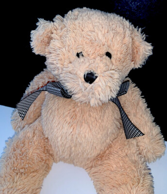 Teddys $_12.JPG?set_id=880000500F