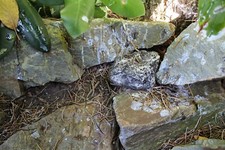 Stein als Schlüsselversteck