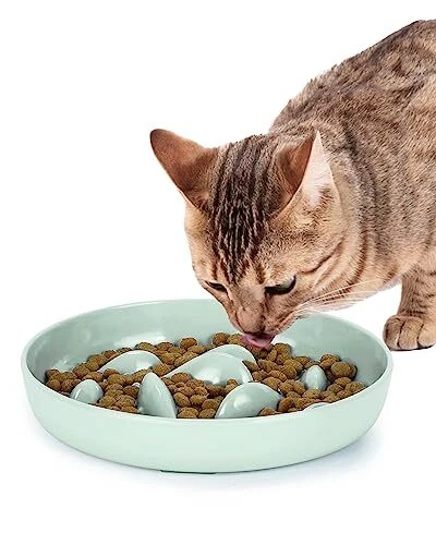 Cat Slow Feeder Bowl, Fun Cat Puzzle Feeder Bowl Anti Vomiting, No