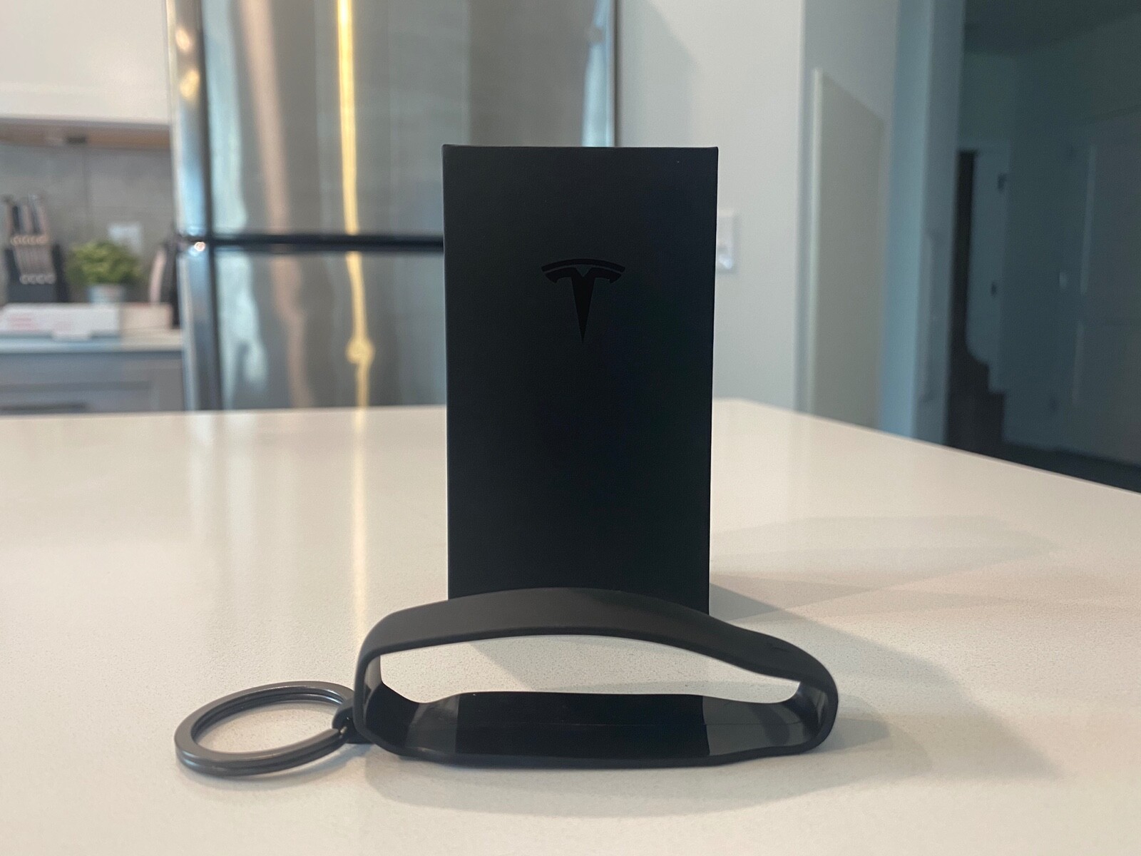 *Brand New* OEM Tesla Model X Key Band