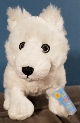 rare webkinz