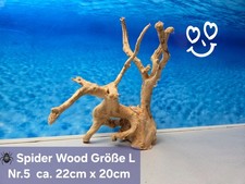 Moorkienwurzel- Spiderwood  Gr&ouml;&szlig;e L  Aquarium Wurzel