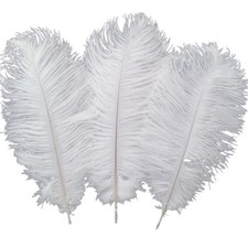 10pcs Ostrich Feathers 12-14inch30-35cm for Home Wedding DecorationWhite