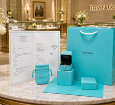 Tiffany Co Engagement Ring Box Outer Box Pouch Certificate Folder Bag