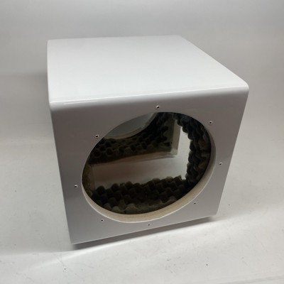 Custom Dual 10  Micro 3000 Cabinet Only .  Gloss White Pearl