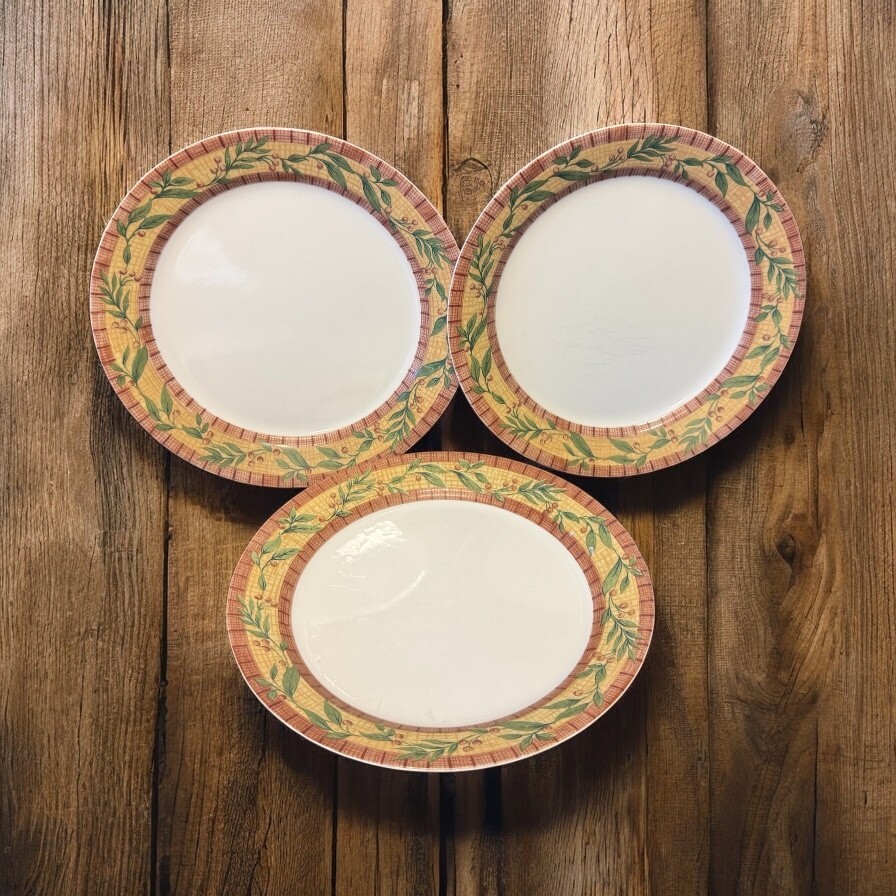 Corning (Corelle) SPICEBERRY Dinner Plate 10 1/4
