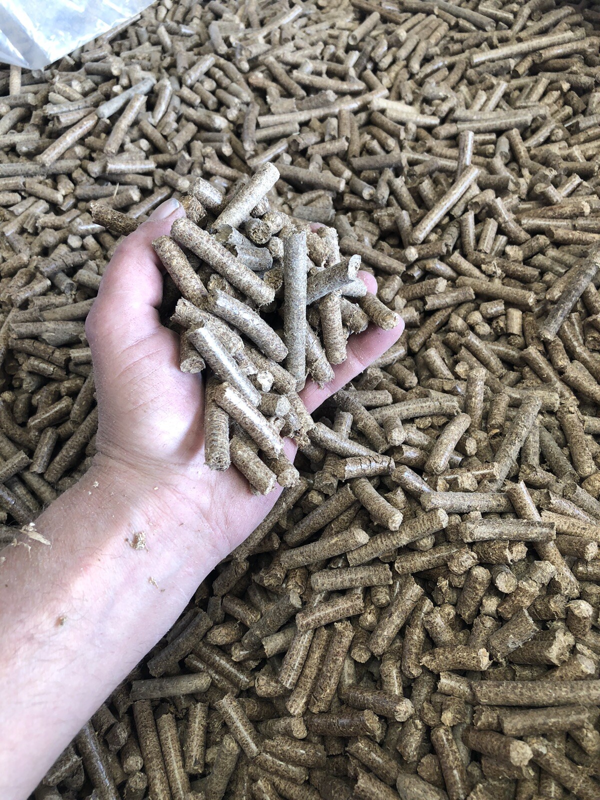 equine horse bedding pellets Staffordshire eBay