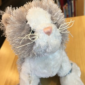 webkinz grey cat